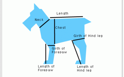 How do you measure a dog?