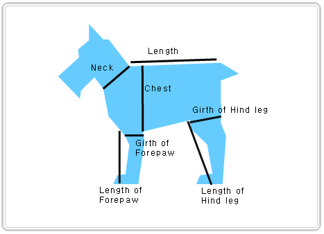 How do you measure a dog?