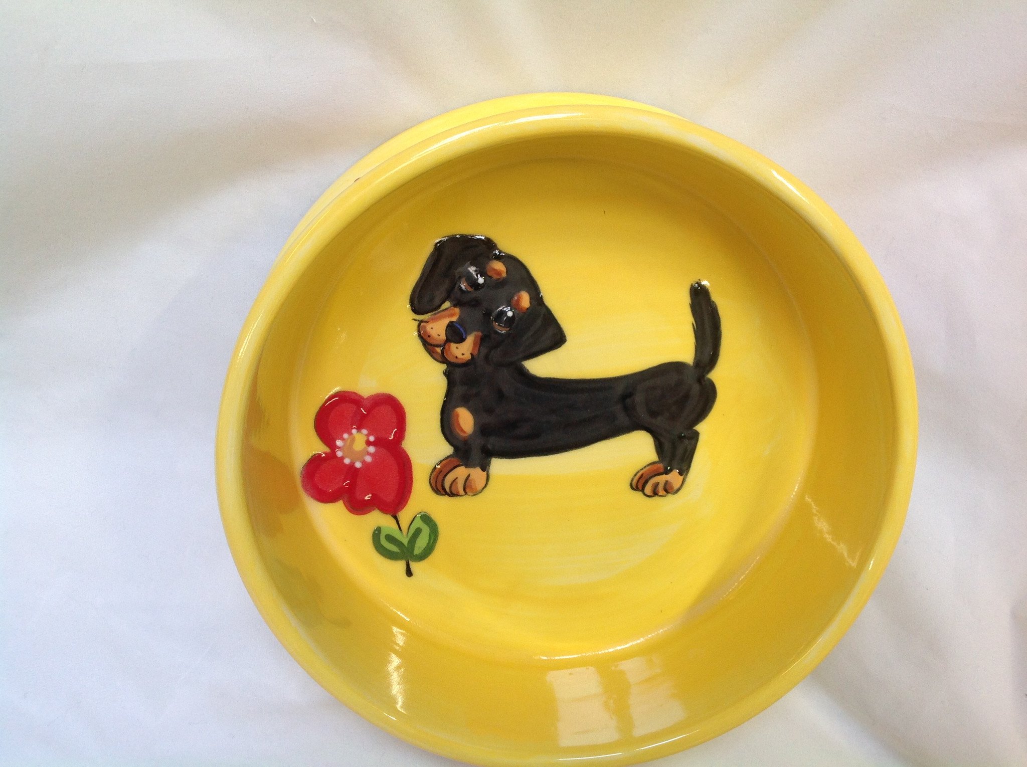 dachshund dog bowl