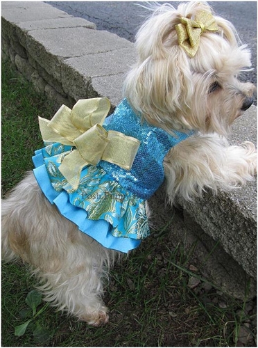 Couture Serenatta Dog Harness Dress