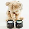 dog coat + skin lotion semplice with tuscan white tea extract