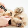 dog gift with paw moisturizer, paw brush and essential calming oils