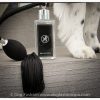 femmina perfume packaged as a female dog gift