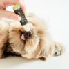 dog gift with paw moisturizer, paw brush and essential calming oils