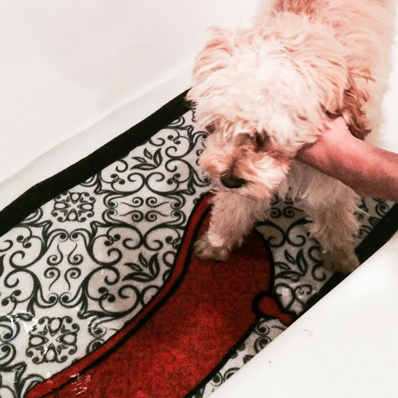 bathing mat for a dog self wash spa day in a tub Winston Dog
