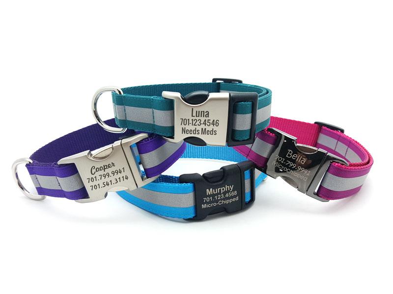 dog collar personalized buckle